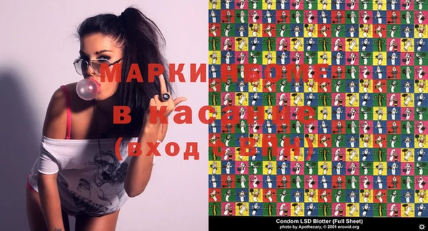 ГАЛЛЮЦИНОГЕННЫЕ ГРИБЫ Вязьма