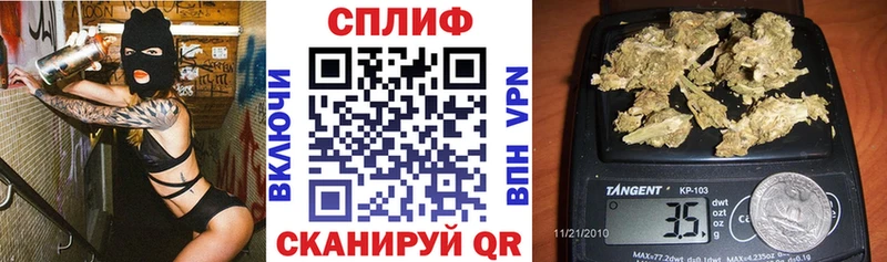 Купить где  Лагань  Конопля White Widow 